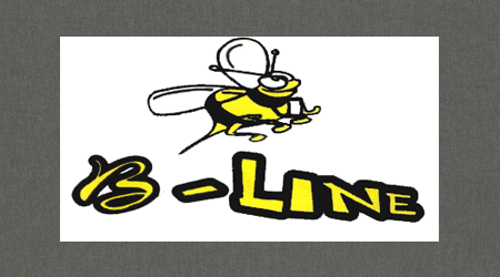 B-Line taxis